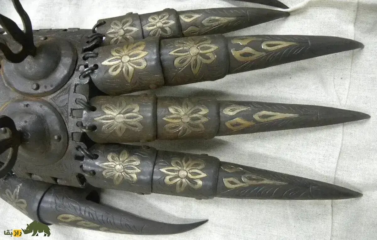 پنجه خرس؛ سلاح جنگی و مرگبار هخامنشیان/ دستکشی که داریوش با آن به ارتش هند حمله کرد